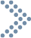 IRIS Group